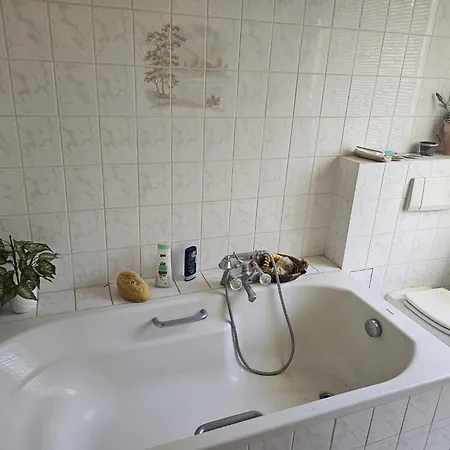 Apartment Mendras Rosswein